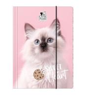 Teczka z gumką A4 Cleo i Frank 45 (kot) DERFORM