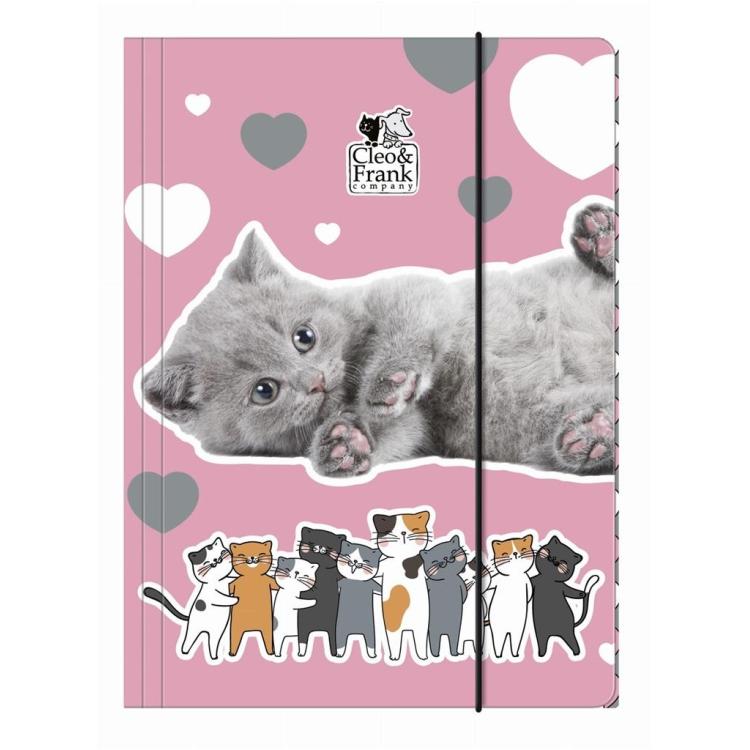 Teczka z gumką A4 Cleo i Frank 39 Kot DERFORM
