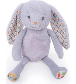 Edukacyjny królik Franio