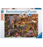 Puzzle 3000 Zwierzęta Afryki
