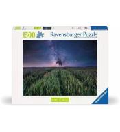 Puzzle 1500 Pola i gwiazdy