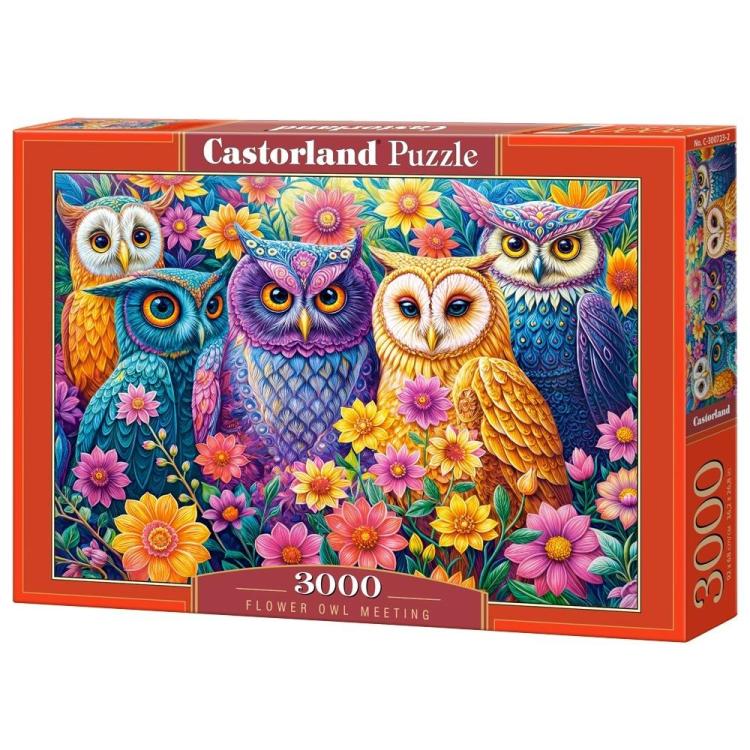 Puzzle 3000 Flower Owl Meeting CASTOR