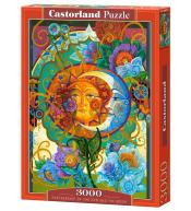 Puzzle 3000 Partnership of the Sun and... CASTOR
