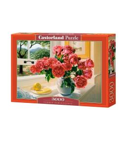 Puzzle 3000 Summer Reminiscence