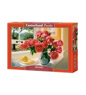 Puzzle 3000 Summer Reminiscence