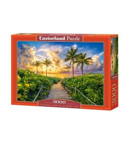 Puzzle 3000 Colorful Sunrise in Miami, USA