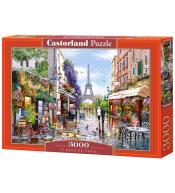 Puzzle 3000 Fowering Paris CASTOR