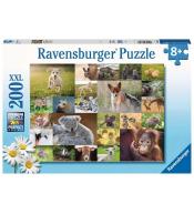 Puzzle dla dzieci 200 Zwierzątka