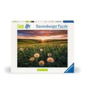 Puzzle 500 Łąka