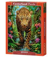 Puzzle 2000 Leopard in the Wild CASTOR