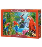 Puzzle 2000 Parrot Meeting CASTOR