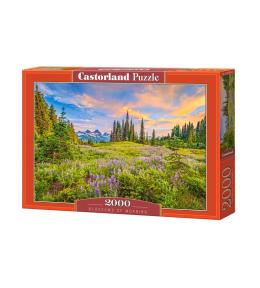 Puzzle 2000 Blossoms of Morning