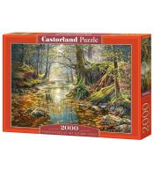 Puzzle 2000 Wspomnienie z jesiennego lasu CASTOR