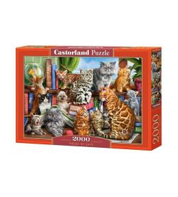 Puzzle 2000 House of Cats CASTOR
