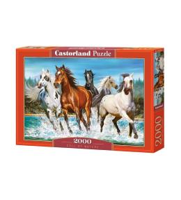 Puzzle 2000 Call of Nature CASTOR