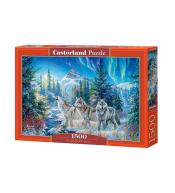 Puzzle 1500 Moonrise Call CASTOR