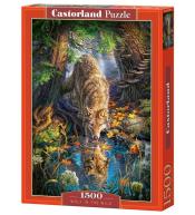 Puzzle 1500 Wolf in the wild CASTOR