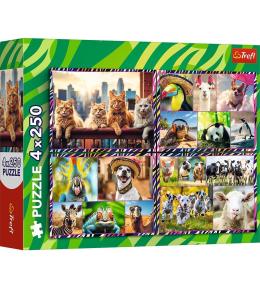 Puzzle 4x250 Zabawne zwierzaki TREFL