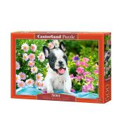 Puzzle 500 French Bulldog Puppy CASTOR