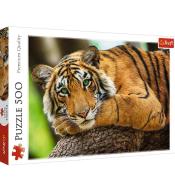 Puzzle 500 Portret tygrysa TREFL