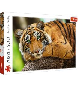 Puzzle 500 Portret tygrysa TREFL