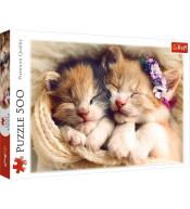 Puzzle 500 Śpiące kotki TREFL