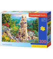 Puzzle 200 New Generation CASTOR