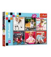 Puzzle 200 Wesołe psy TREFL