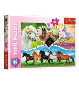 Puzzle 200 Piękne konie TREFL