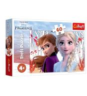 Puzzle 60 Zaczarowny świat Anny i Elsy TREFL