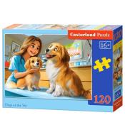 Puzzle 120 Dogs at the Vet CASTOR