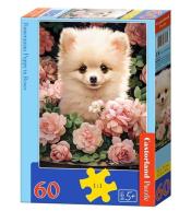 Puzzle 60 Pomeranian Puppy in Roses CASTOR