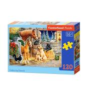 Puzzle 120 Gathering Friends CASTOR