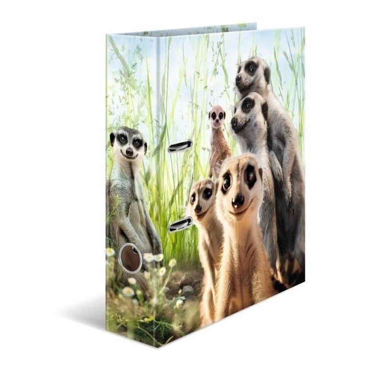 Segregator Surykatki 7cm