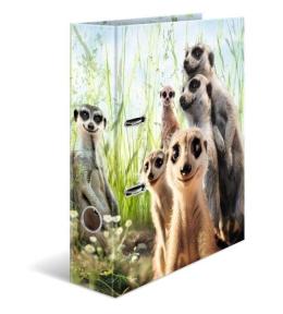 Segregator Surykatki 7cm