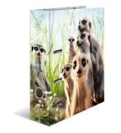 Segregator Surykatki 7cm