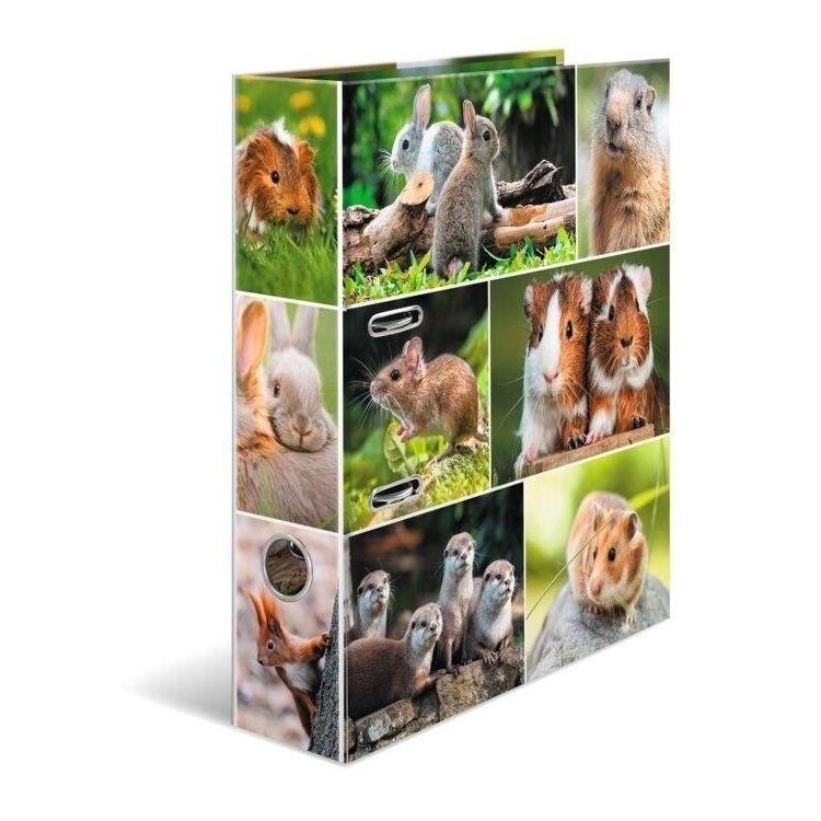 Segregator A4 - Gryzonie