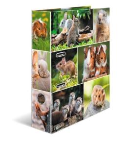 Segregator A4 - Gryzonie