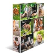 Segregator A4 - Gryzonie