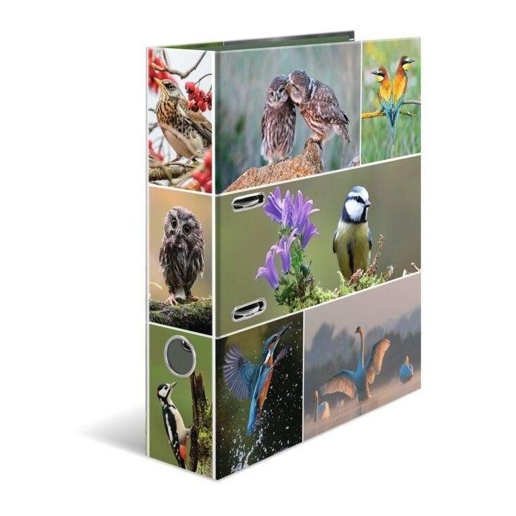 Segregator A4 - Ptaki