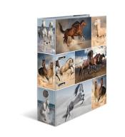 Segregator A4 - Konie