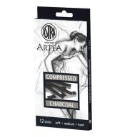 Zestaw węgli prasowanych 12 sztuk ASTRA