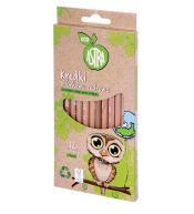 Kredki okrągłe z drewna cedrowego ECO 12 kol ASTRA