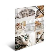 Teczka A4 gumki narożne - Koty