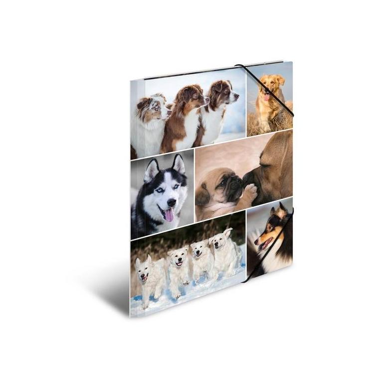 Teczka A4 gumki narożne - Psy