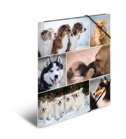 Teczka A4 gumki narożne - Psy