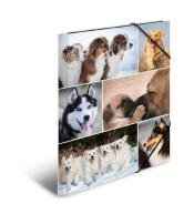 Teczka A4 gumki narożne - Psy