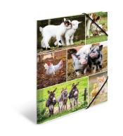 Teczka A4 gumki narożne - Zwierzęta wiejskie