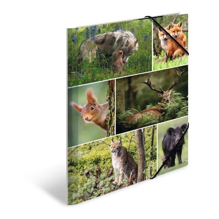 Teczka A4 gumki narożne - Leśne zwierzęta