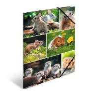 Teczka A4 gumki narożne - Gryzonie